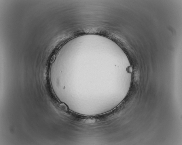 X0000113560687200910161456