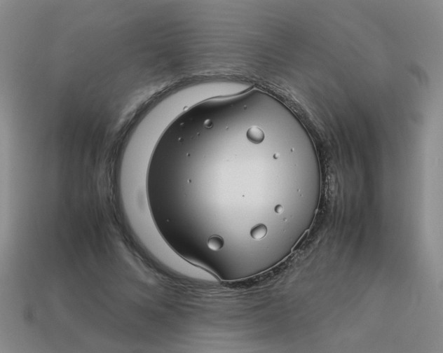 X0000113560688200910161456
