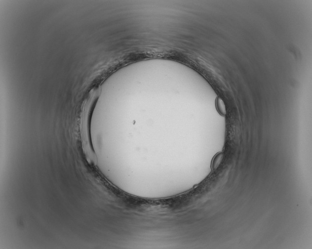 X0000113560689200910161456