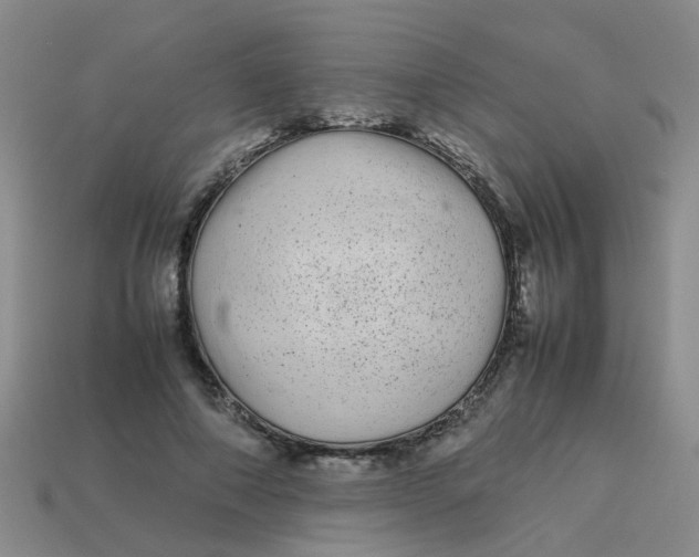 X0000113560690200910161456