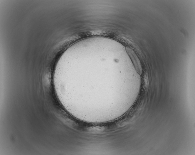 X0000113560691200910161456