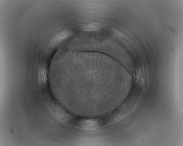 X0000113560692200910161456