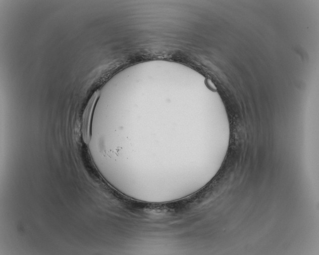 X0000113560693200910161456