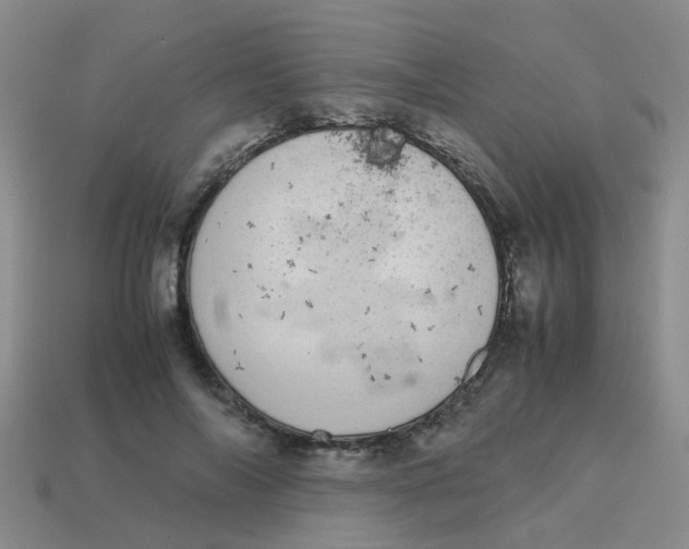 X0000113560694200910161456