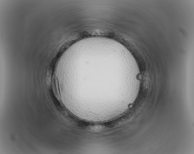 X0000113560695200910161456