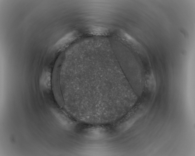 X0000113560696200910161456
