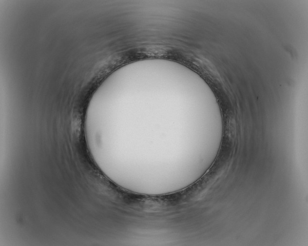 X0000113560697200910161456