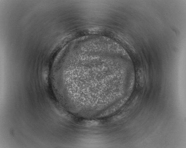 X0000113560698200910161456