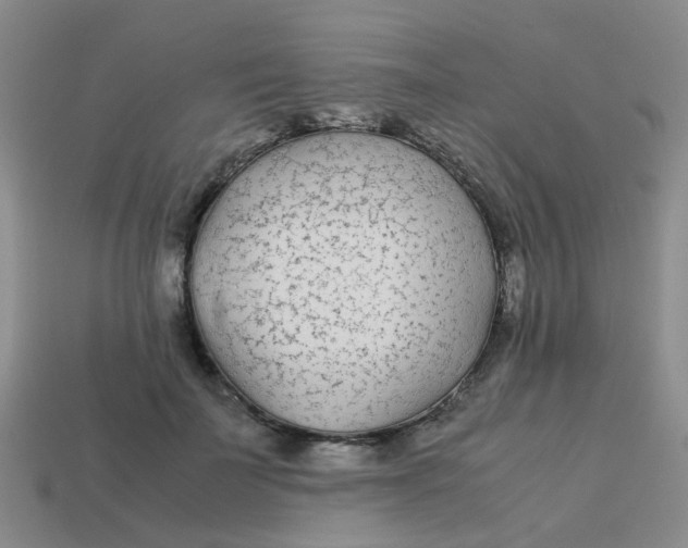 X0000113560699200910161456