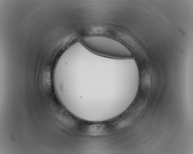 X0000113560700200910161456