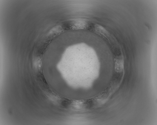X0000113560701200910161456