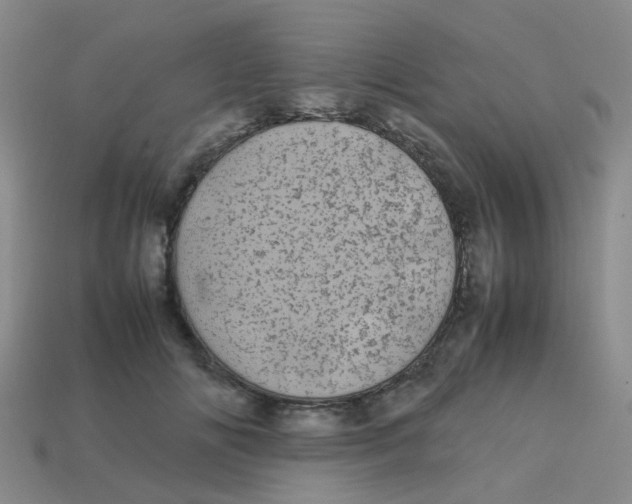 X0000113560702200910161456