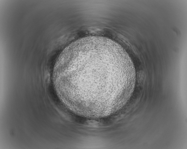 X0000113560703200910161456