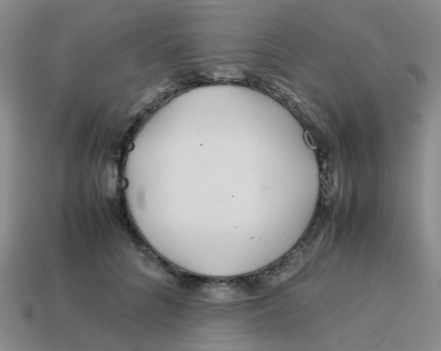 X0000113560704200910161456