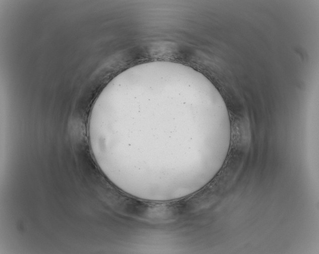 X0000113560705200910161456