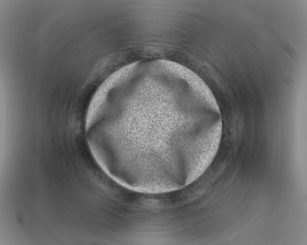 X0000113560706200910161456