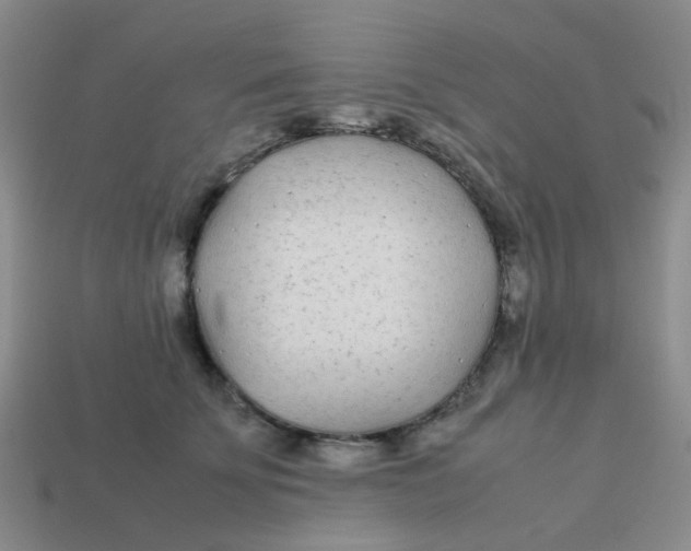 X0000113560707200910161456