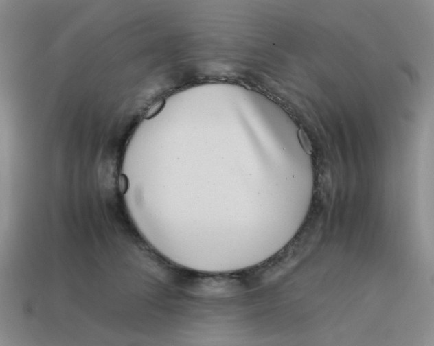 X0000113560708200910161456