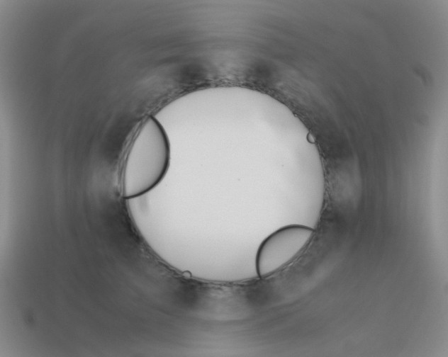 X0000113560709200910161456