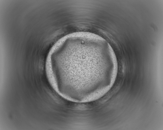 X0000113560710200910161456