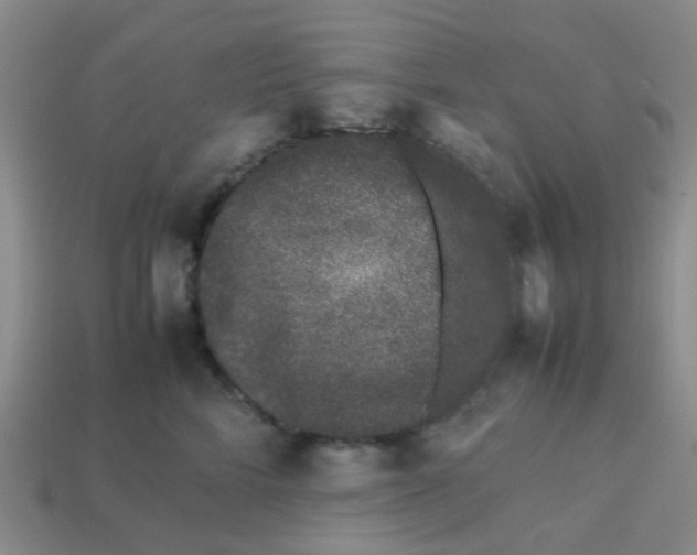 X0000113560712200910161456