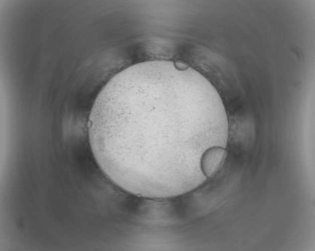 X0000113560713200910161456