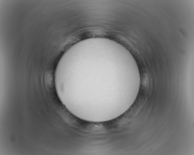 X0000113560715200910161456