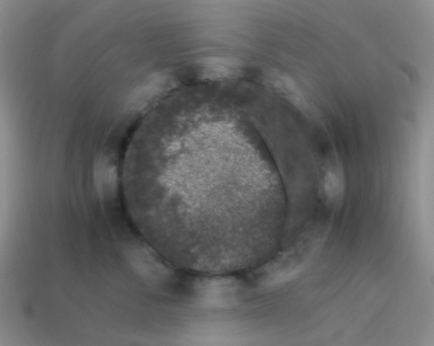 X0000113560716200910161456