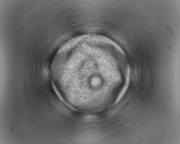 X0000113560718200910161456
