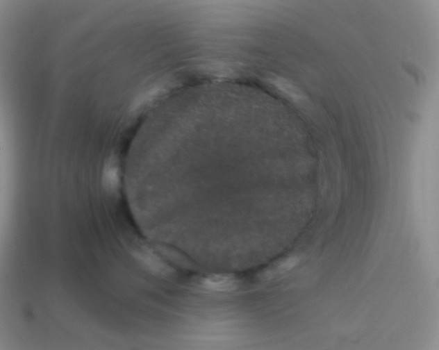 X0000113560720200910161456