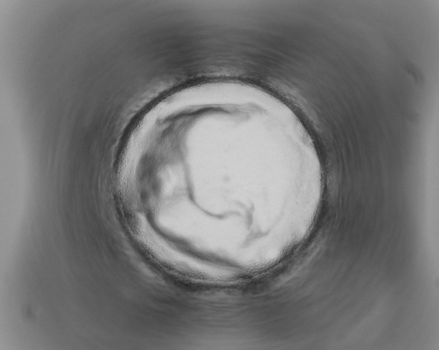 X0000113560721200910161455