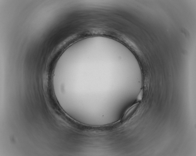 X0000113560722200910161455