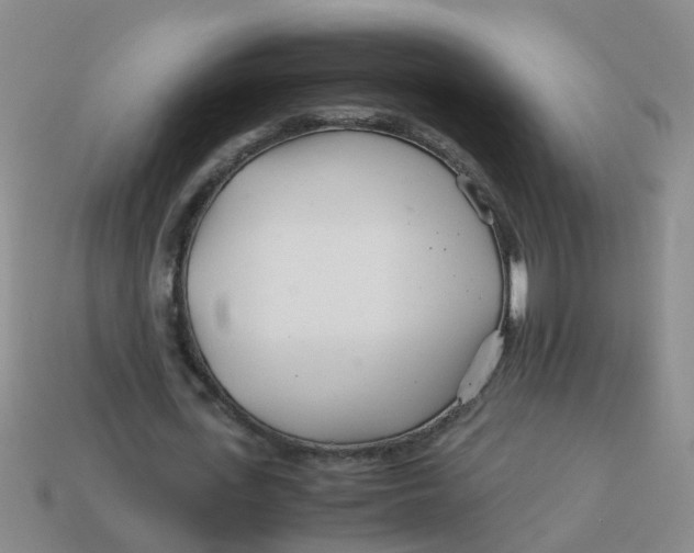 X0000113560723200910161455