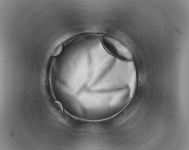 X0000113560724200910161455