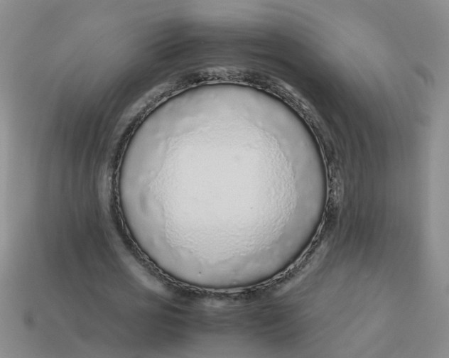 X0000113560725200910161455
