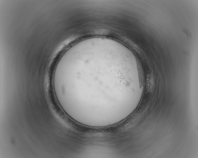 X0000113560726200910161455