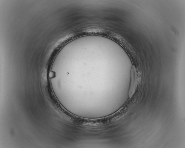 X0000113560727200910161456