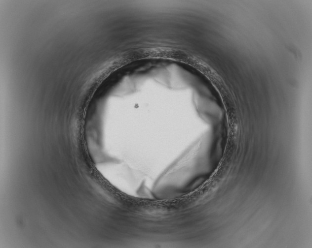 X0000113560729200910161456