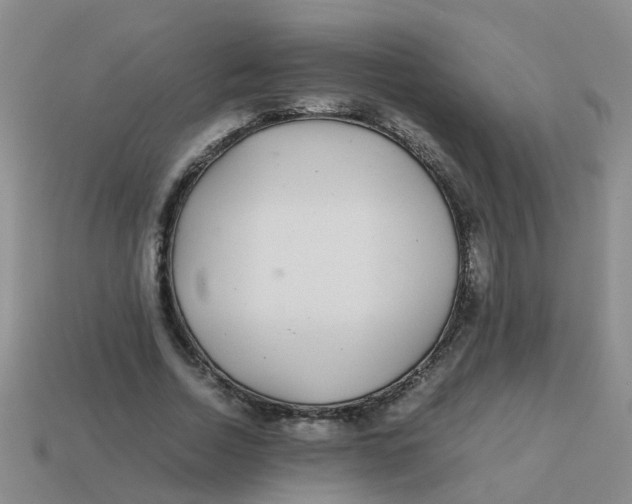X0000113560730200910161456