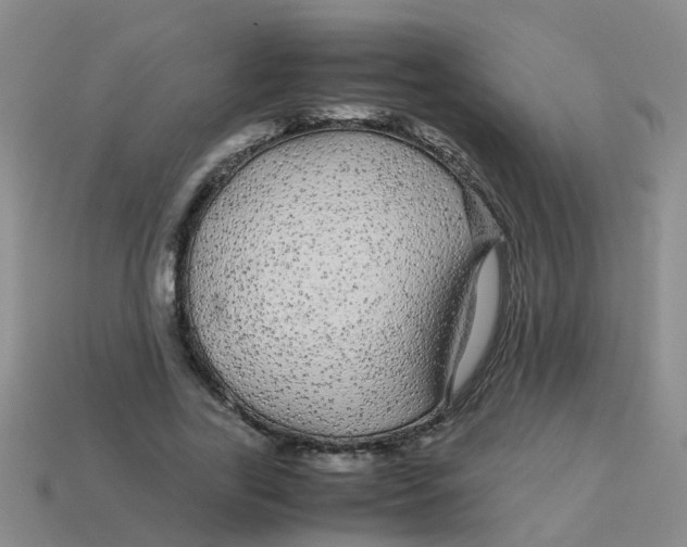 X0000113560731200910161456
