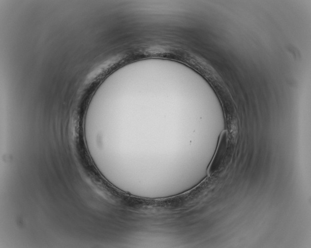 X0000113560732200910161456
