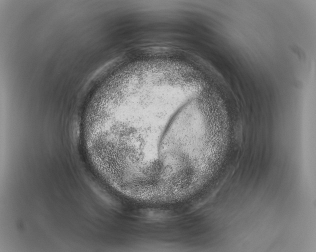 X0000113560733200910161456