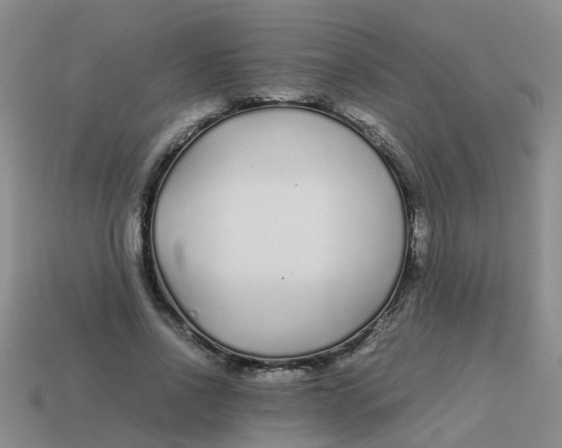 X0000113560734200910161456