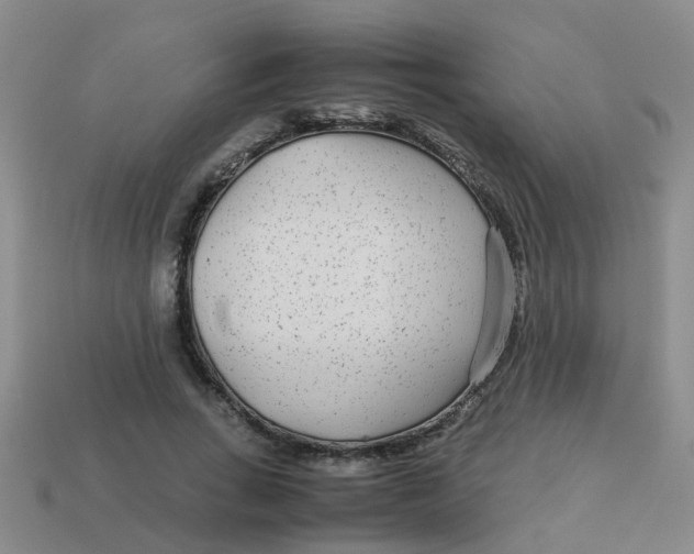 X0000113560735200910161456