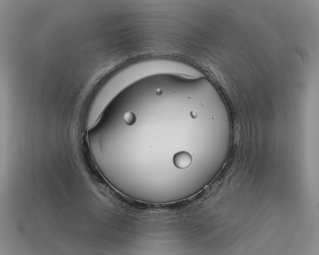 X0000113560736200910161456