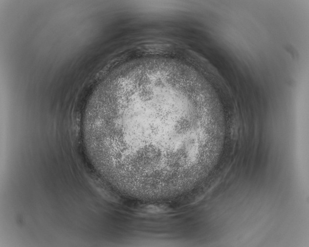 X0000113560737200910161456