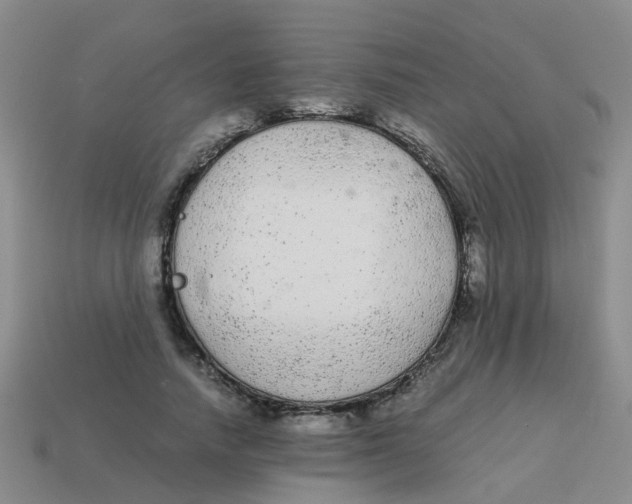 X0000113560738200910161456