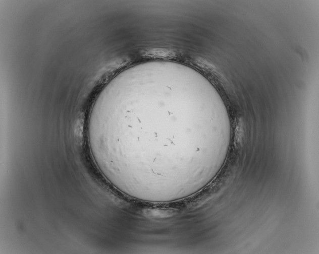 X0000113560739200910161456