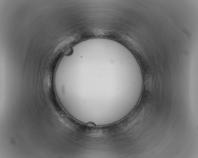 X0000113560740200910161456