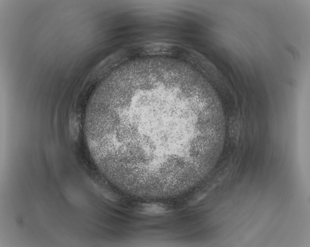 X0000113560741200910161456